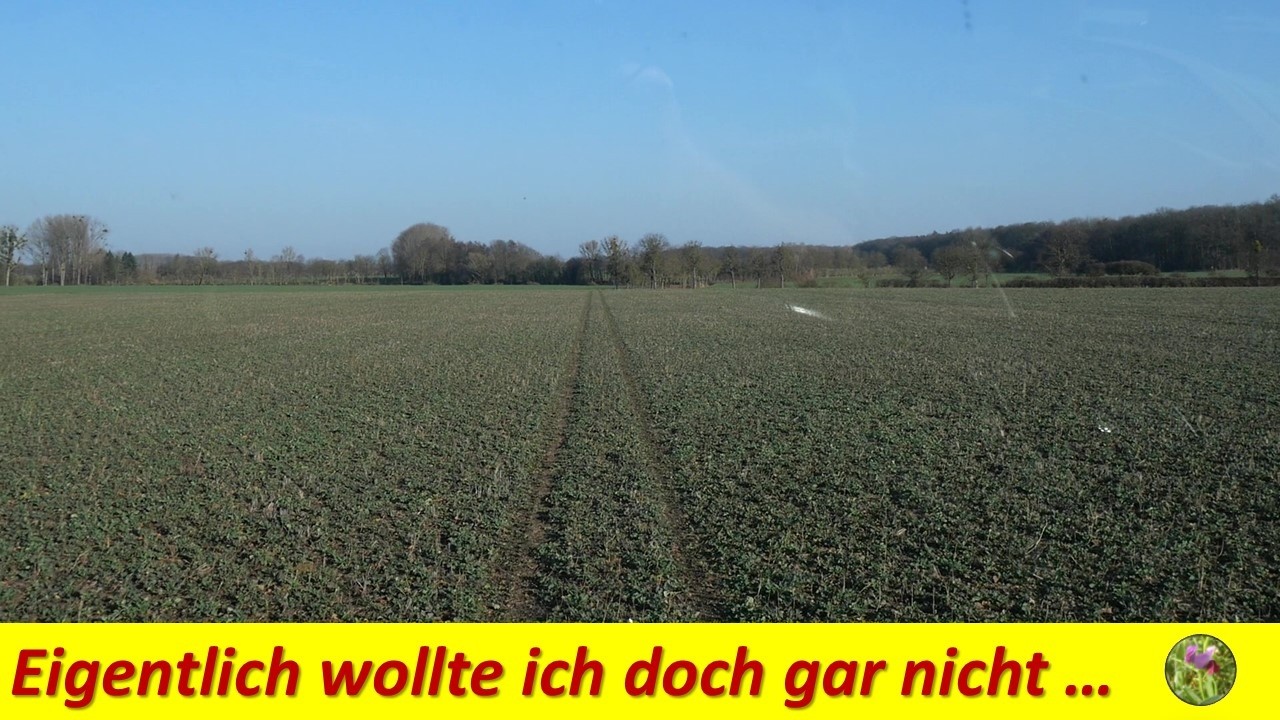 Eigentlich wollte ich doch gar nicht ...