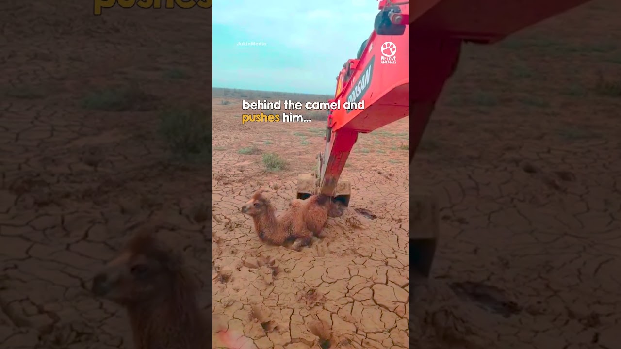 When he's lifted into the air 😍