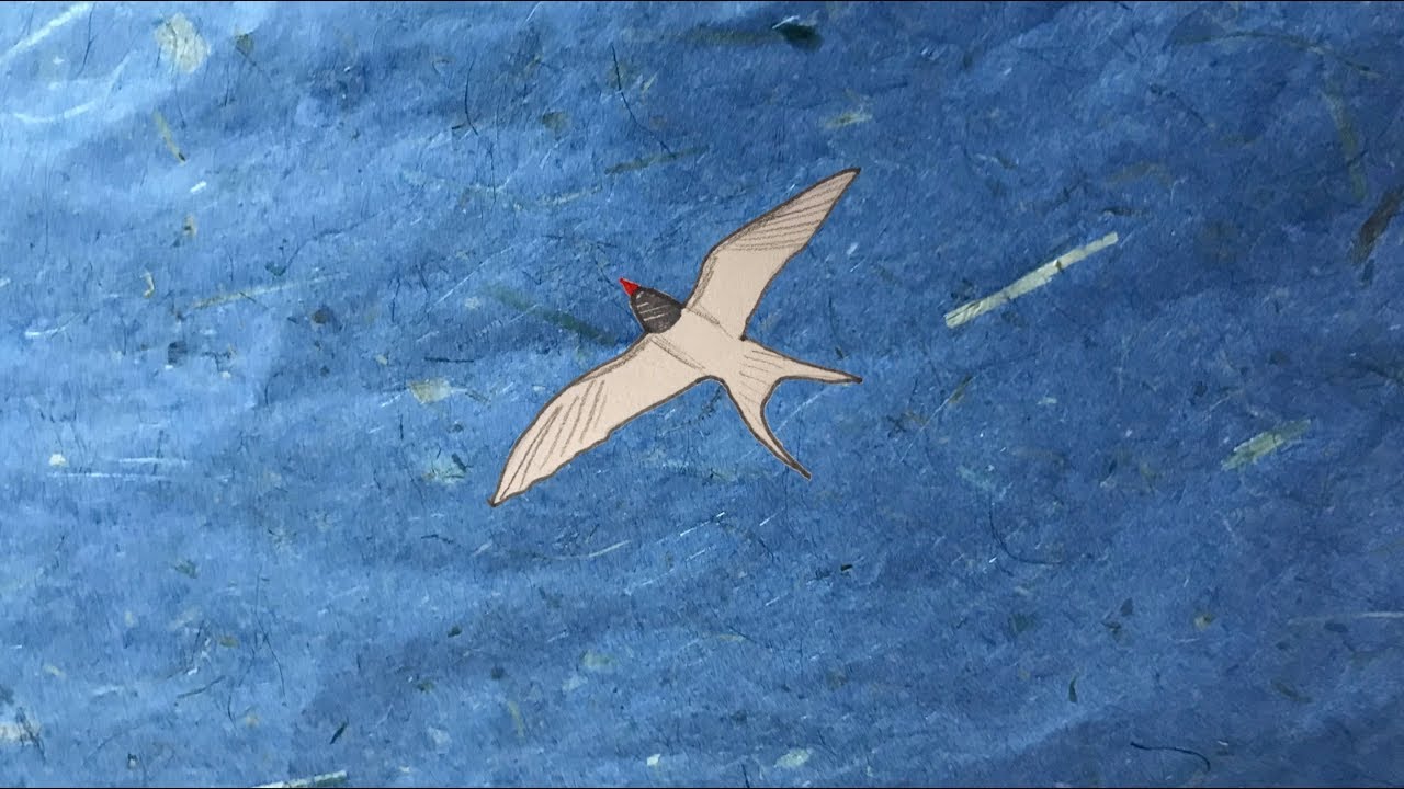 How Do Birds Know to Fly South?