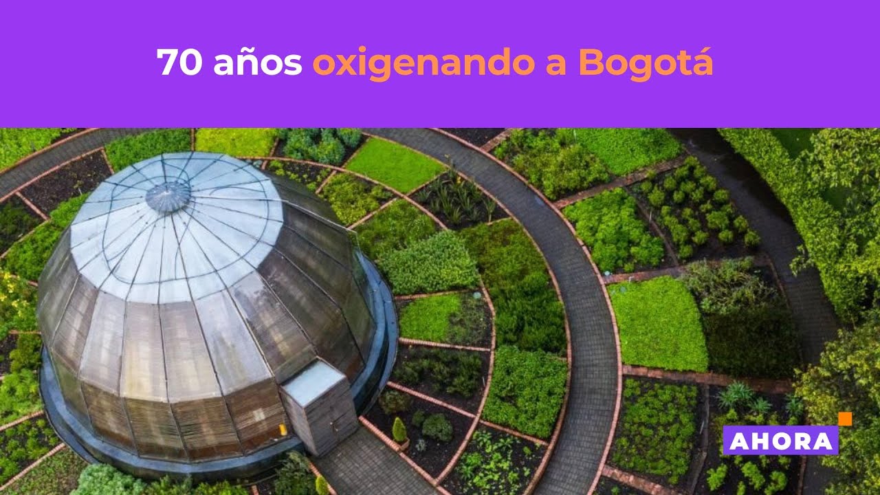 El Jardín Botánico cumple 70 años de ser un aula viva en el corazón de Bogotá | Medio ambiente