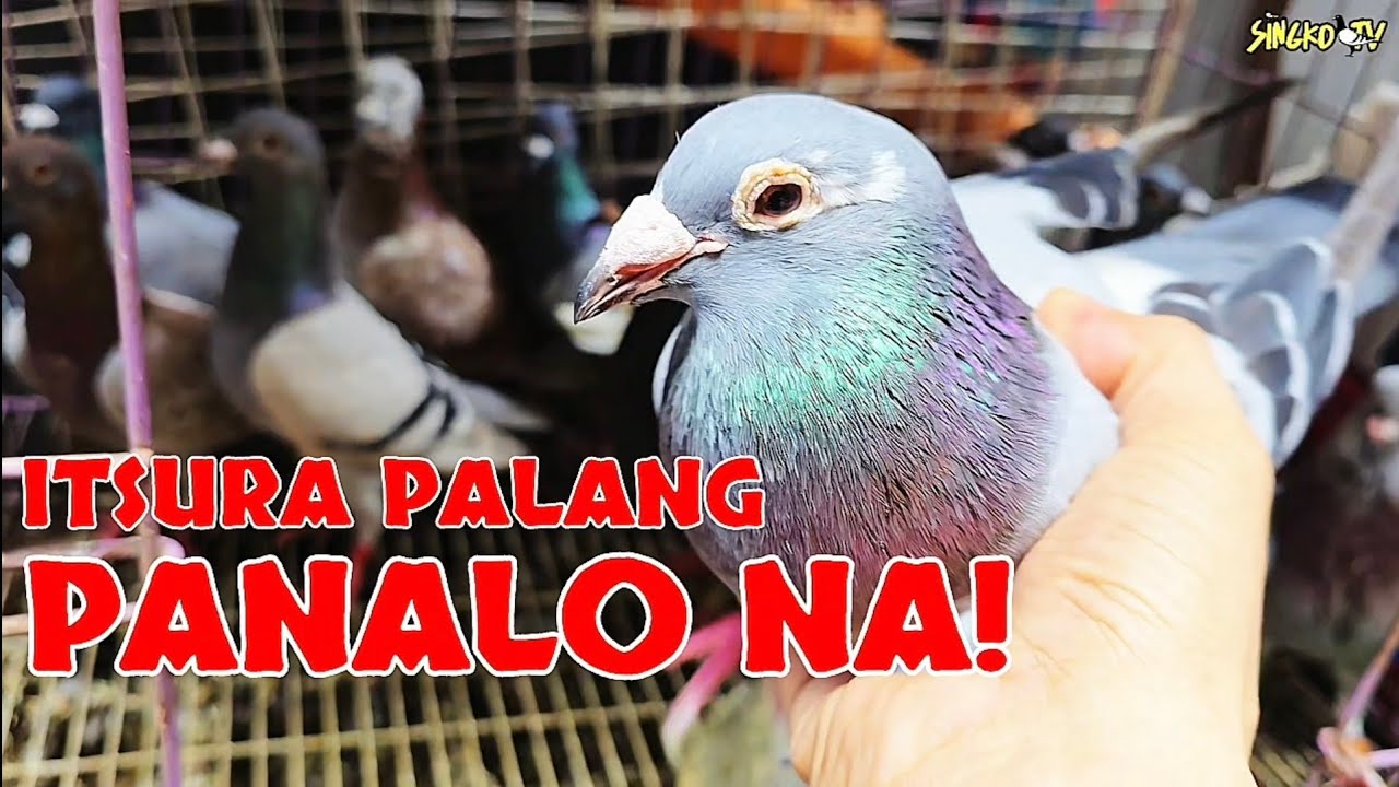 NAKA BILI TAYO, ITSURA PALANG PALDO NA