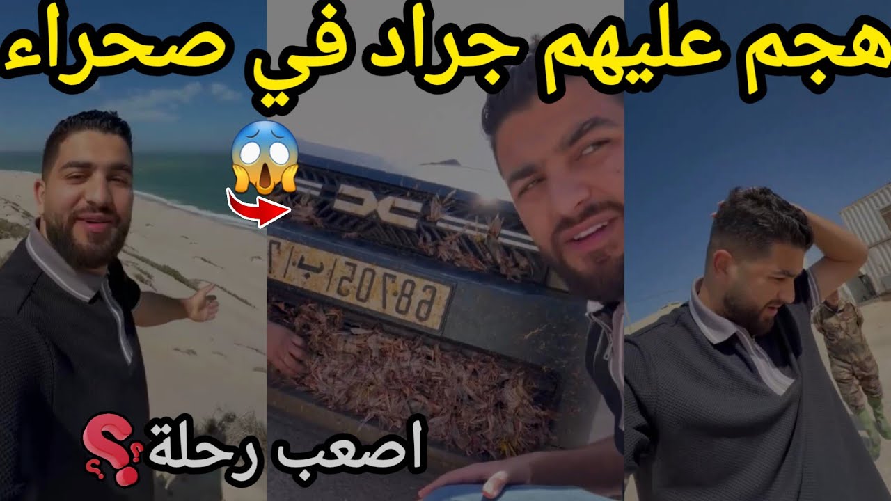 هجم عليهم جراد في طريق الى صحراء 😱 من اكادير الى الكركارات صحراء المغربية saber chawni 