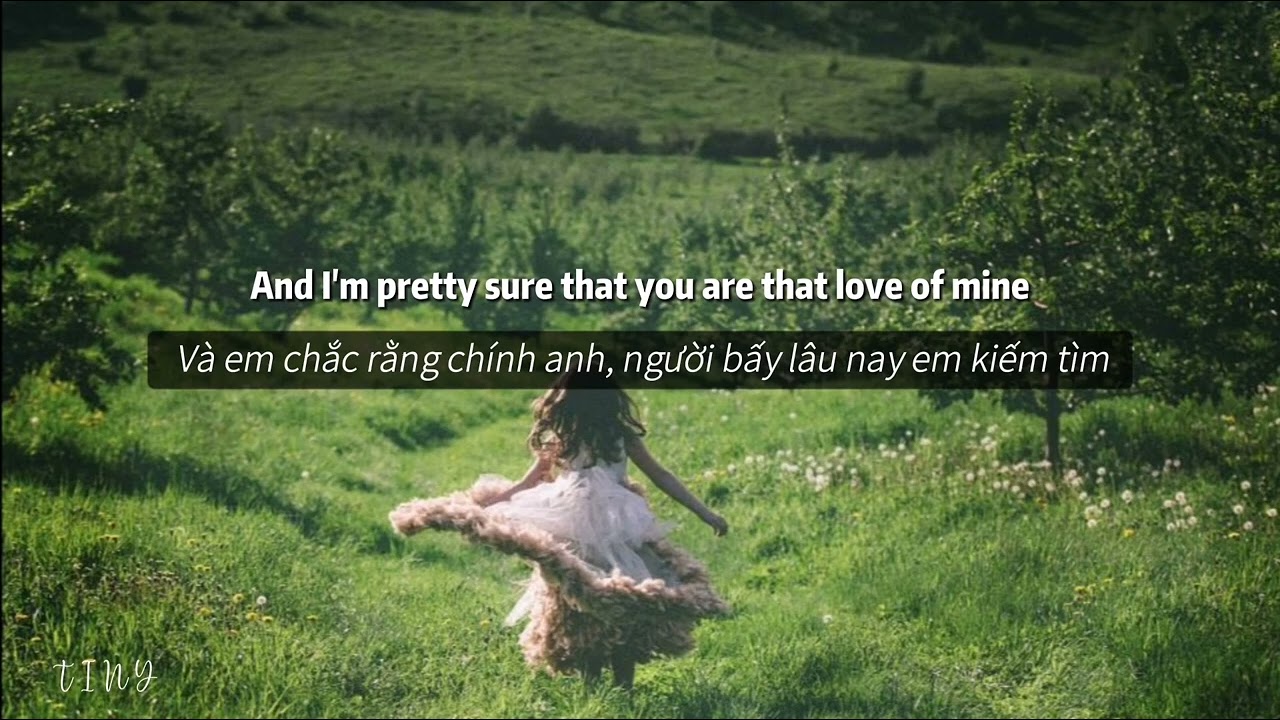 [ Vietsub + Lyrics ] Dandelions - Ruth B ✿