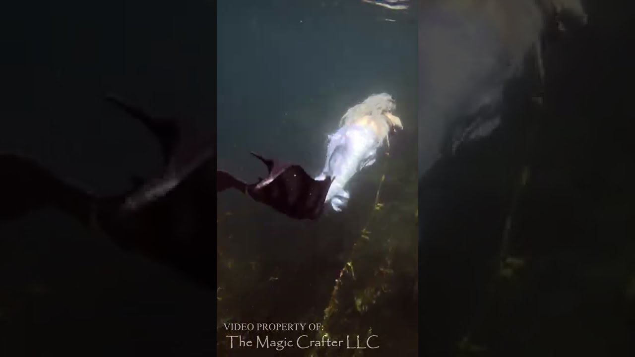 Mermaid swims through seaweed in Lake Michigan (2022 pro mermaid #shorts by The Magic Crafter)