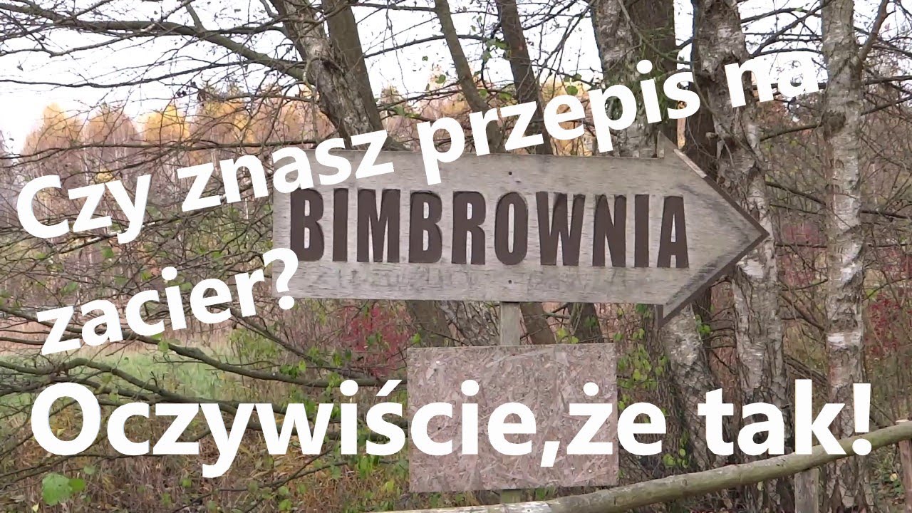 Puszcza Knyszyńska: bimbrownictwo w lesie, Szlakiem Witolda Sławińskiego