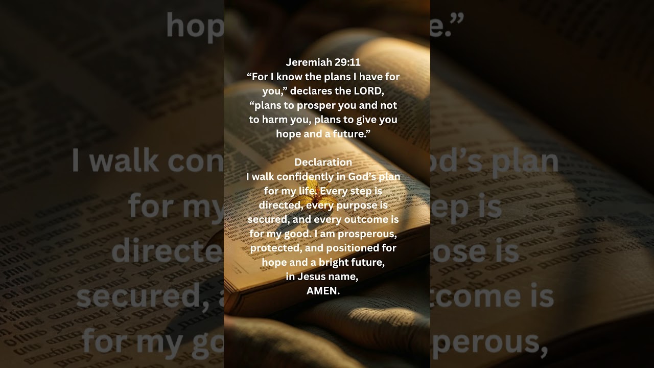 #commandyourday #affirmations #godscommand #manifestation #biblequotes #bibleverses #godsays #faith
