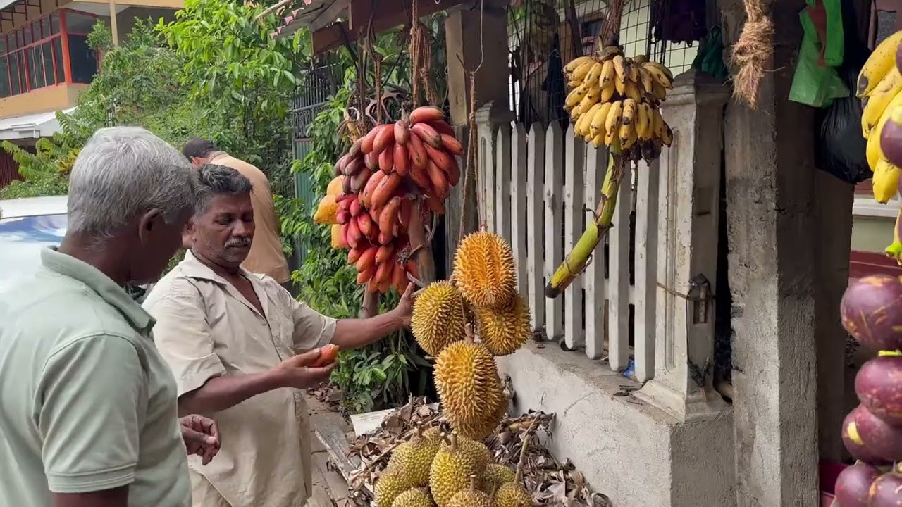 Discover the beauty of Sri Lanka with Local Guide RWA Saman
