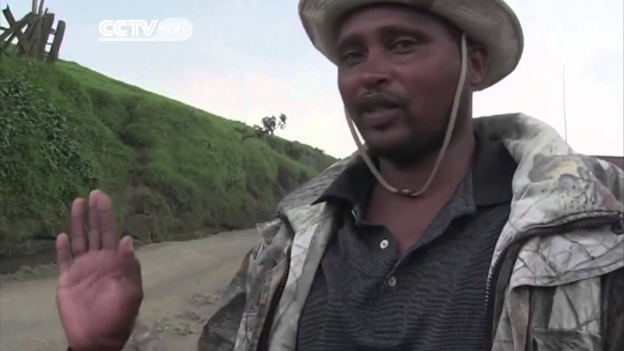 Eastern DR Congo Residents Profit From Cheese Making Business