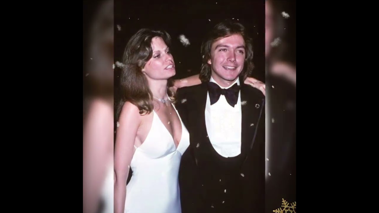 David Cassidy Tribute - Leave A Light On For Me