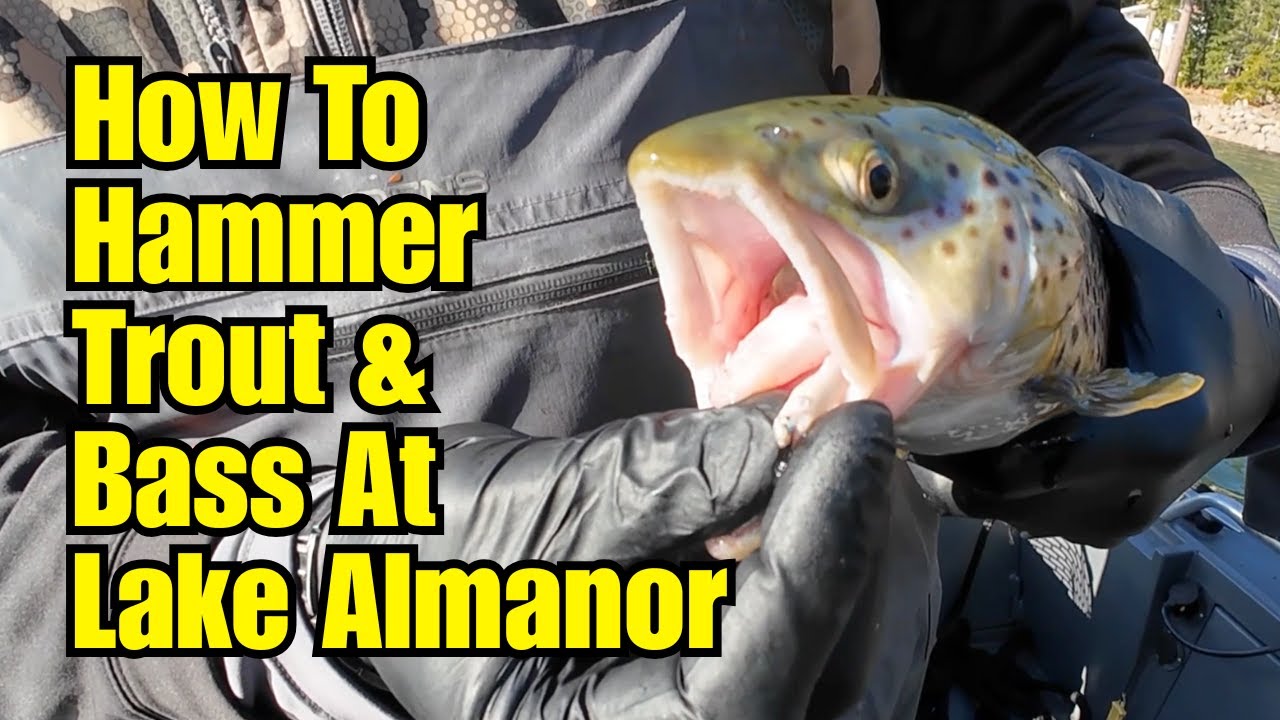 How To Hammer Trout & Bass At Lake Almanor