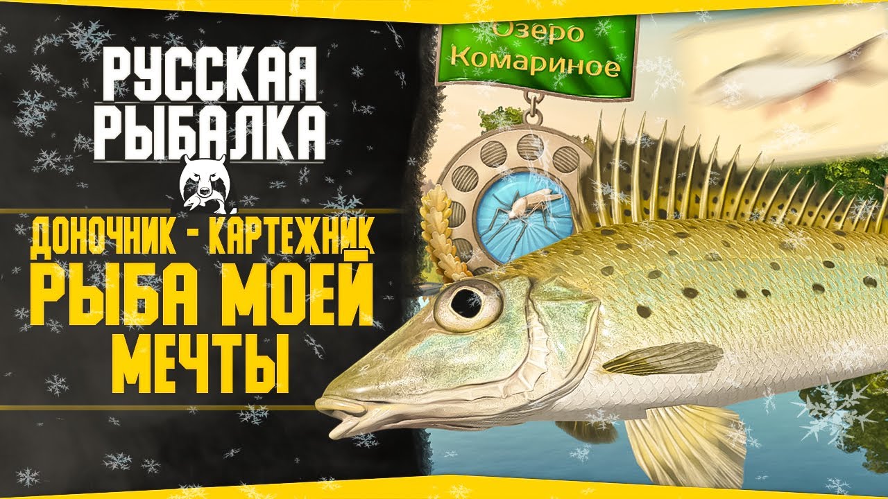 Путь доночника-картежника! в РР4 #17 💥ЗАКРЫЛ КОМАРИНОЕ РЫБА МОЕЙ МЕЧТЫ ЯЗЬ!| Русская Рыбалка 4