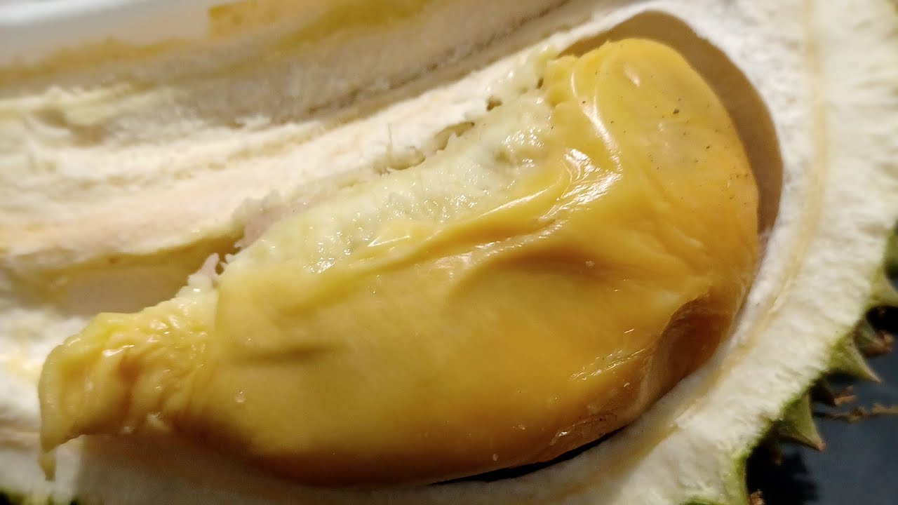 Durian Mahal Ochee