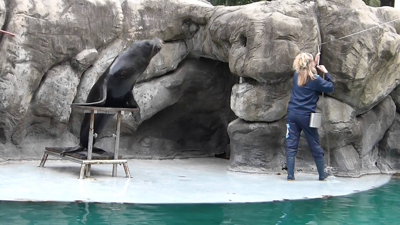 En el Acuario del Zoológico de Palermo