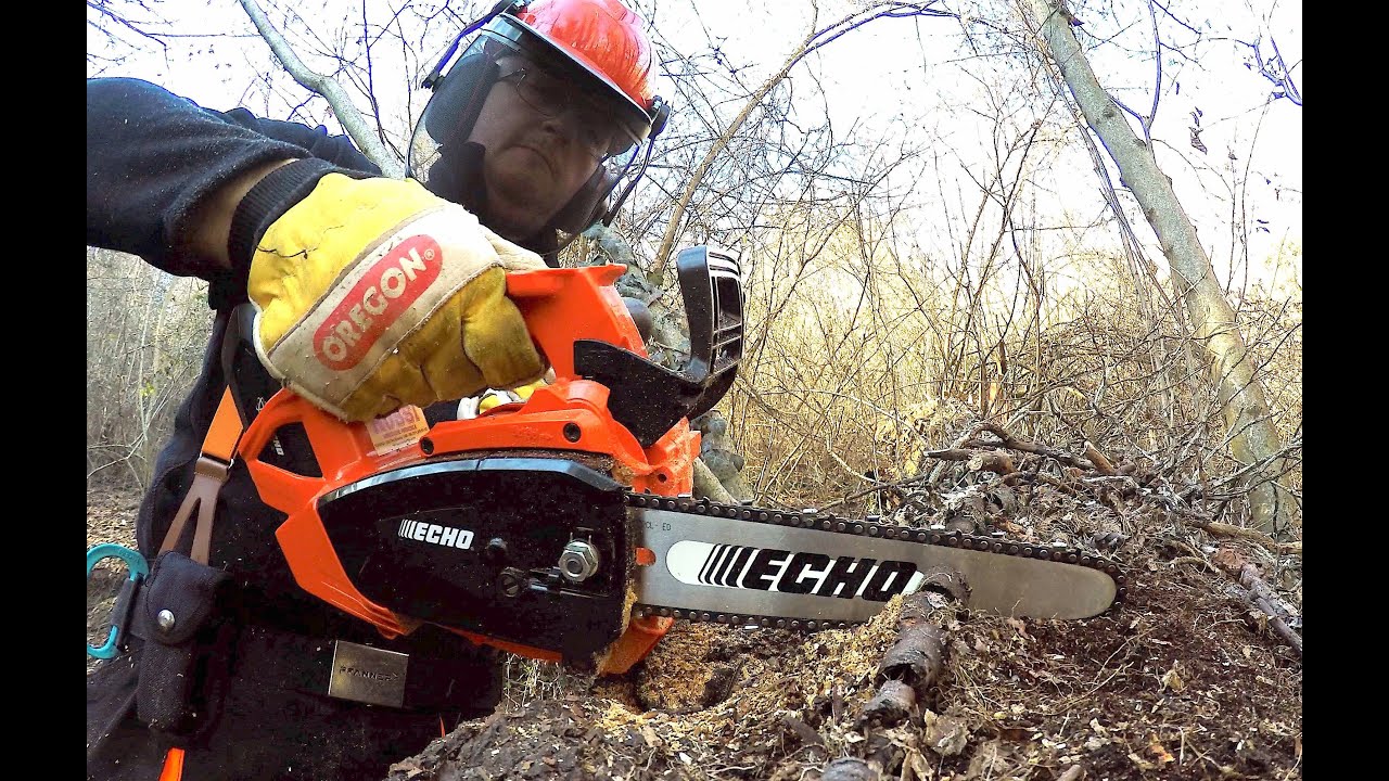 Motosega ( chainsaw ) ECHO 2500 T a batterie - Unboxing e test nel bosco