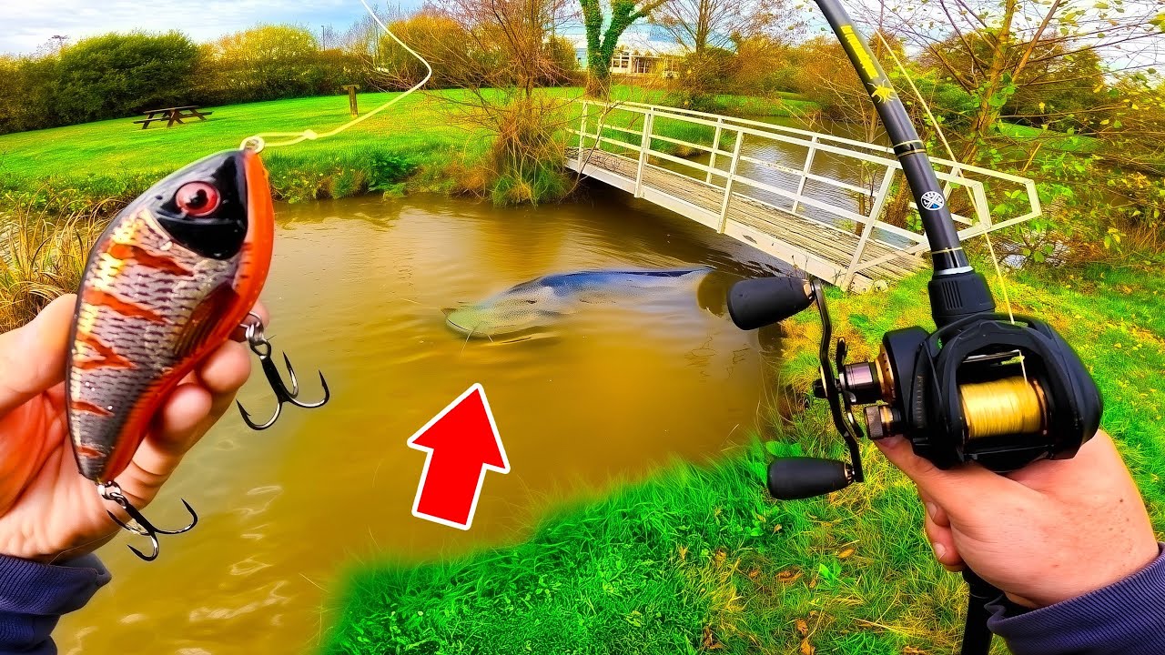 Une créature énorme se cache dans ce petit étang, on ne s’attendait pas à ça !! ( pêche au leurre )