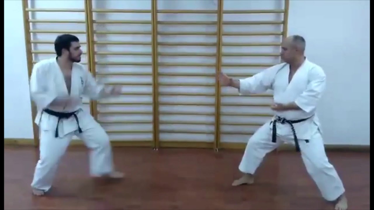 NENAD SIMIC   ROKU DAN   DAI NIPPON KEMPO SHOTOKAN RYU KARATE  DO