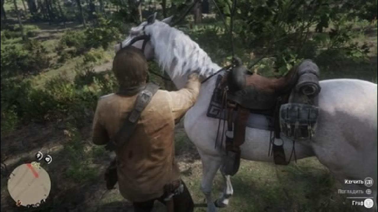 Red Dead Redemption 2|глава 2 | Ростовщичество и прочие грехи