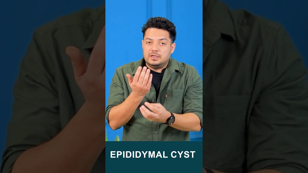Epididymal Cyst #drhealth #lowspermcount #maleinfertility #oligospermia #shorts #viralshorts
