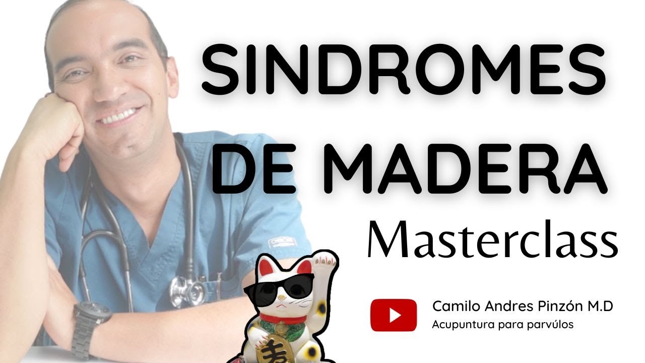 SÍNDROMES DE LA MADERA: una masterclass. | Acupuntura para párvulos.