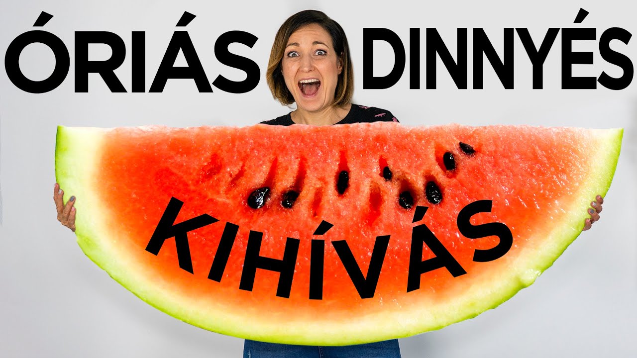 5 Perces  Dinnyés Kihívás!