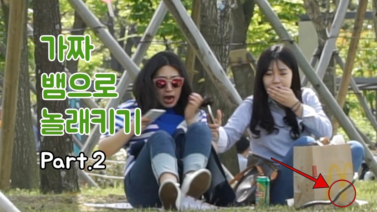 [몰카] 가짜뱀으로 놀래키기 2탄 Fake Snake Prank
