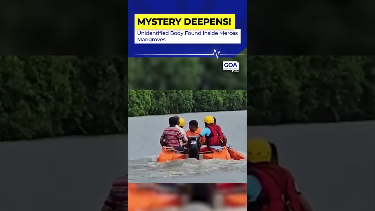 Mapusa Youth Drowns at Belagavi Waterfall During Weekend Trip | Goa News