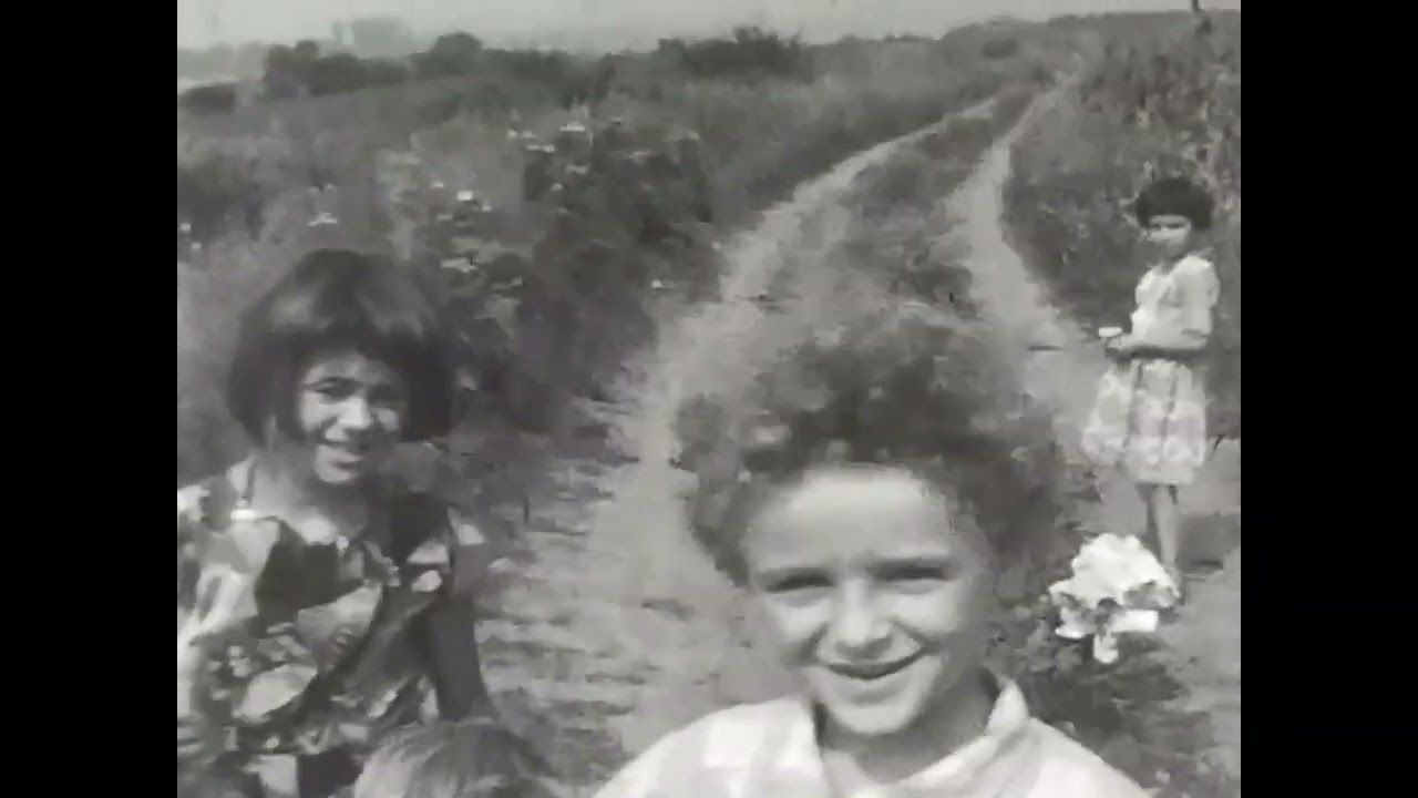 Pojejena '70