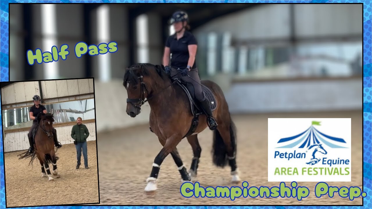 Back Dressage Training With Hayley Watson Greaves