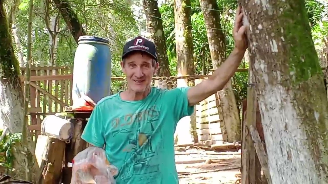 Sobre a venda de galinhas e gansos 
