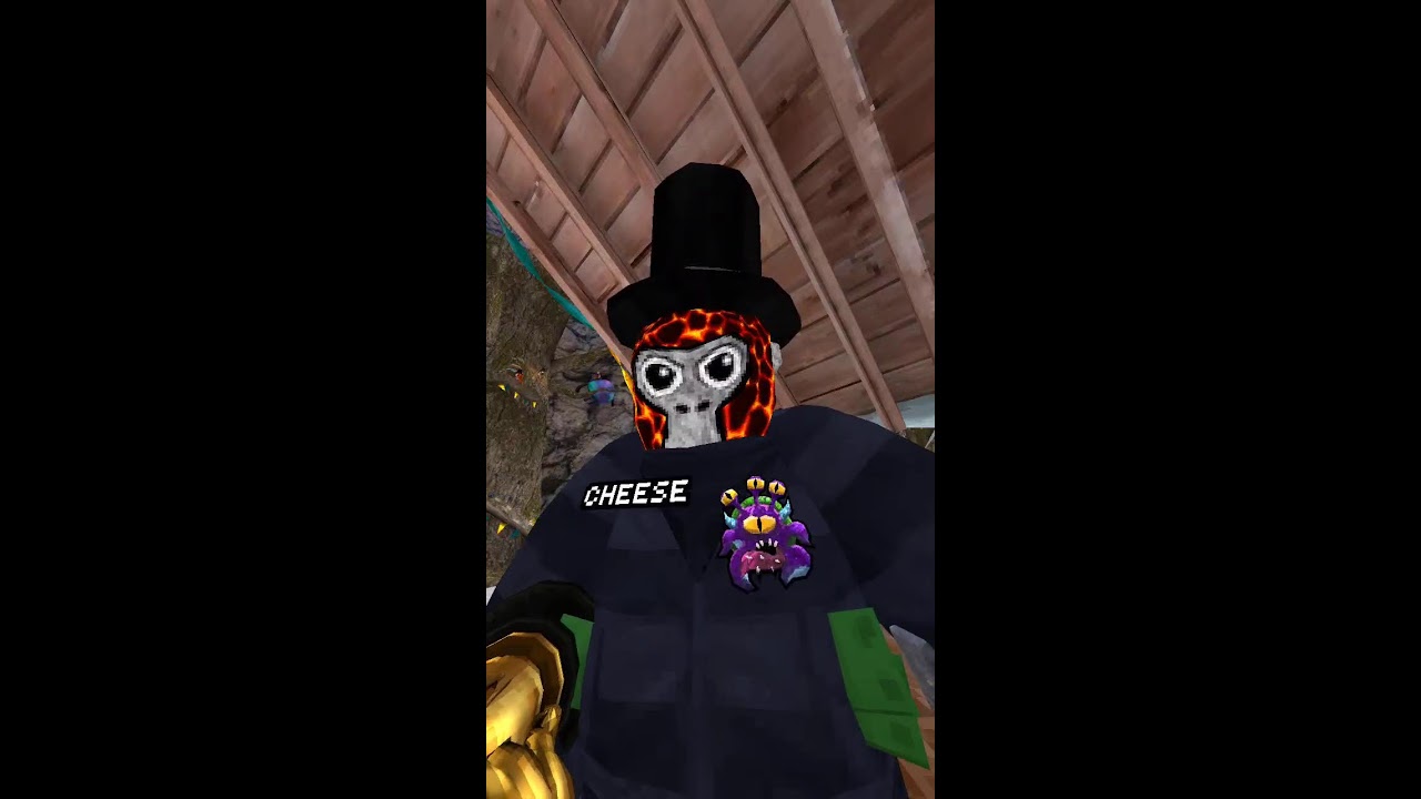 Meta Quest Broadcast | Powered by LIV