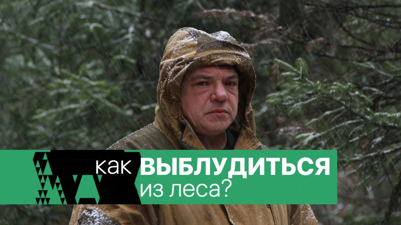 Как не заблудиться в лесу
