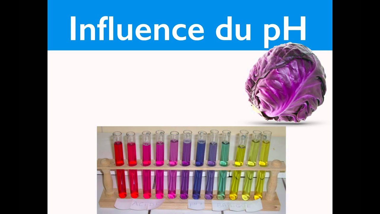 Mol&eacute;cules organiques et couleur - 2/2