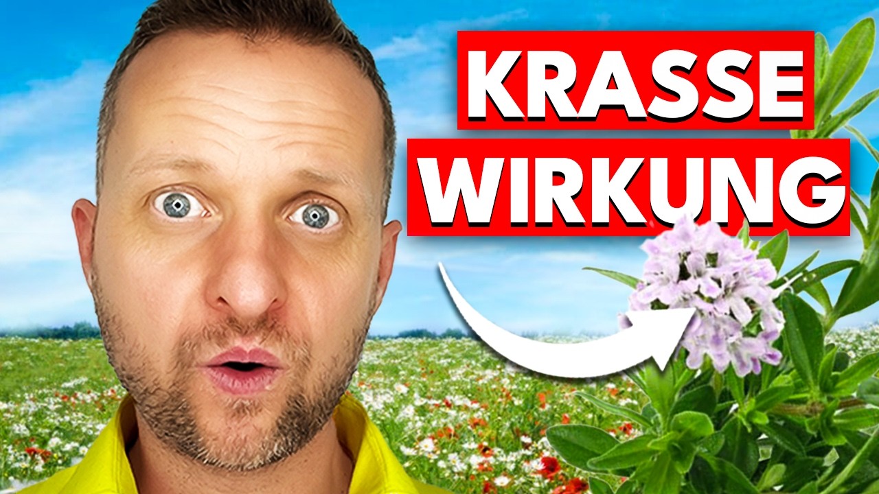 Ist Thymian-Öl doch besser als Oregano-Öl? Studien klären auf