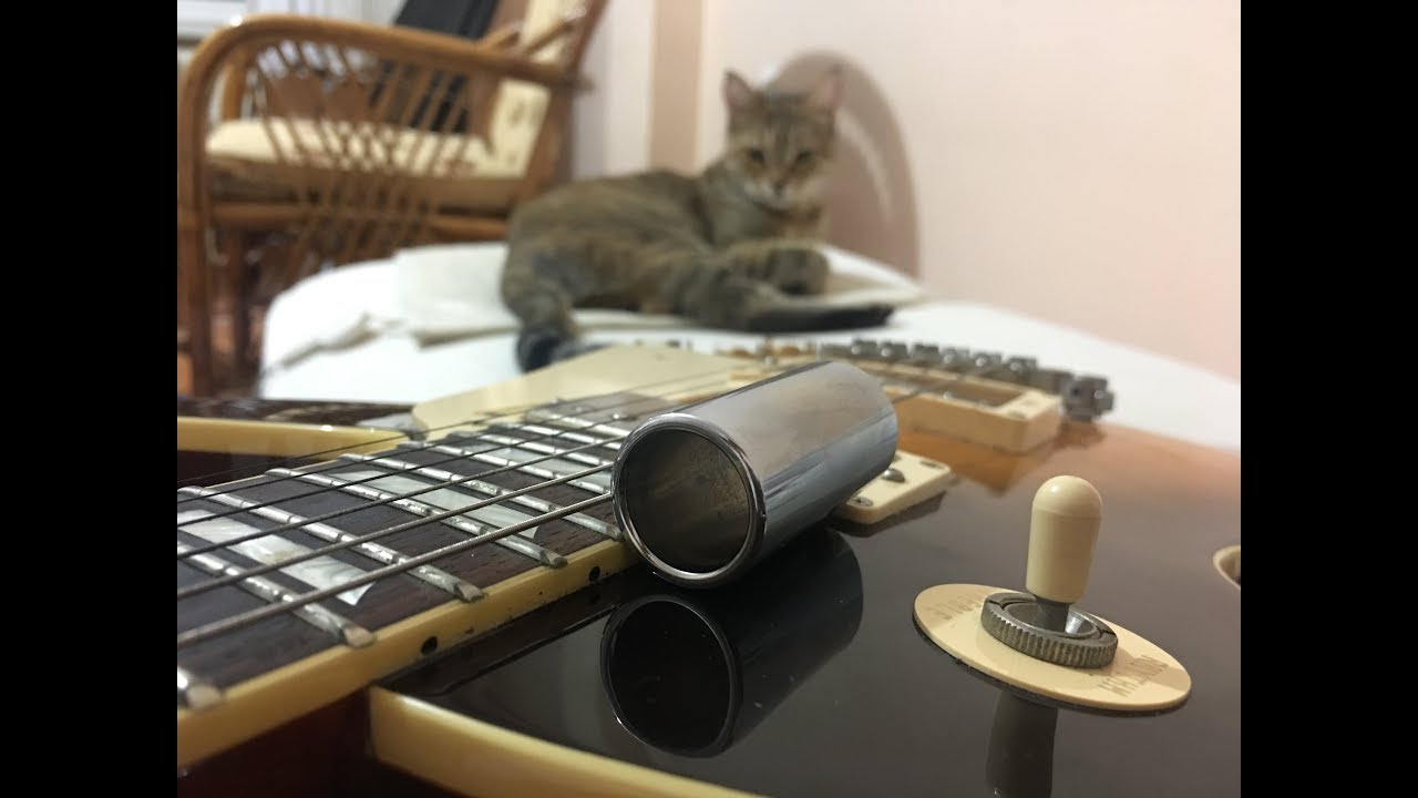 MY CAT MY BLUES