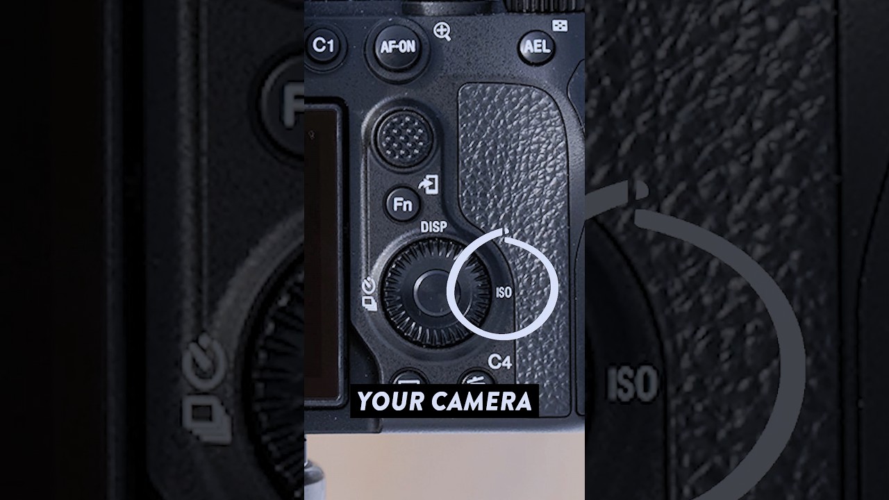 How to STOP GRAINY photos