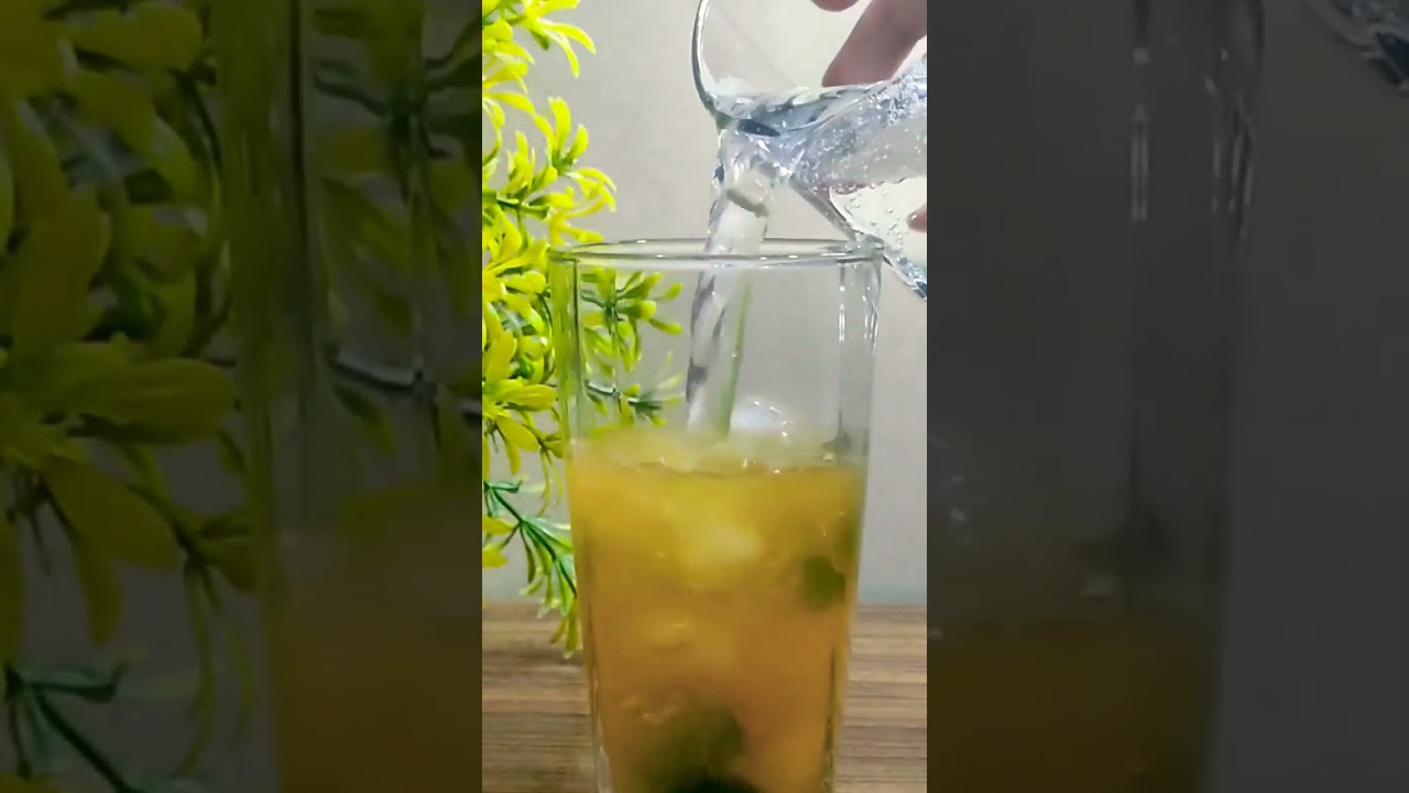 Orange Mint Mojito