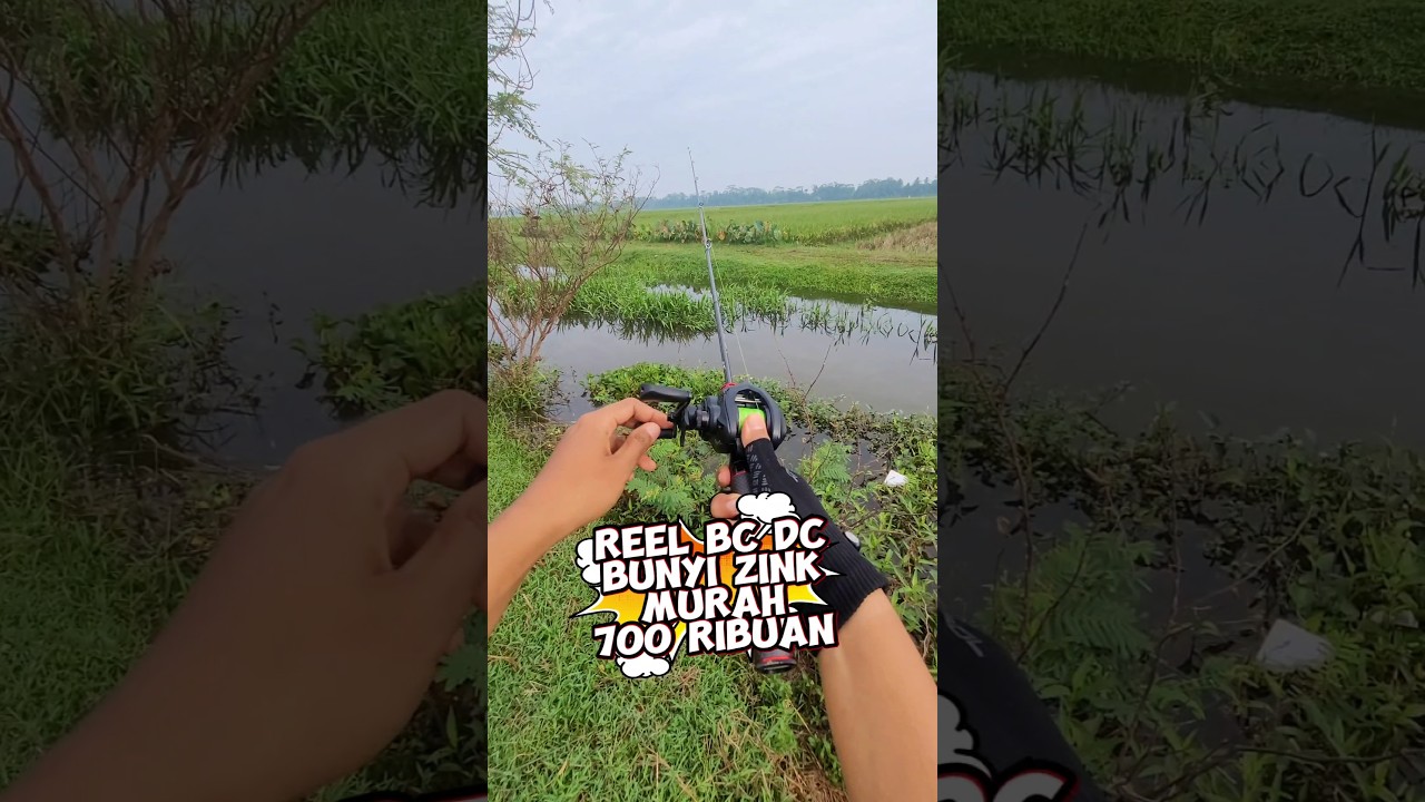 reel baitcasting murah sudah digital control DC ZINK #alatpancing #baitcasting #digitalcontrol #reel