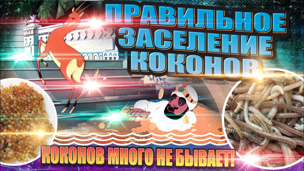 Как Я Заселяю Коконы