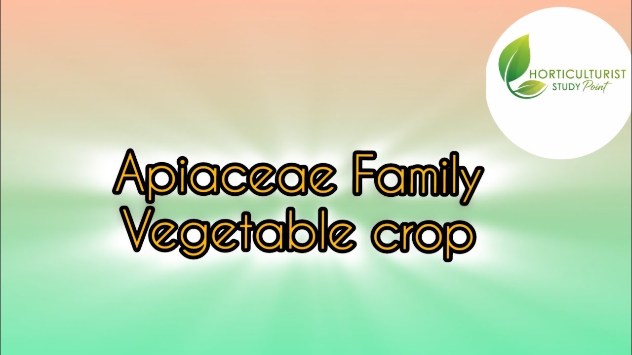 Carrot Crop #Apiaceae family#Vegetable Science #ASRB Net Vegetable Science Preparation#ICAR#Hort.