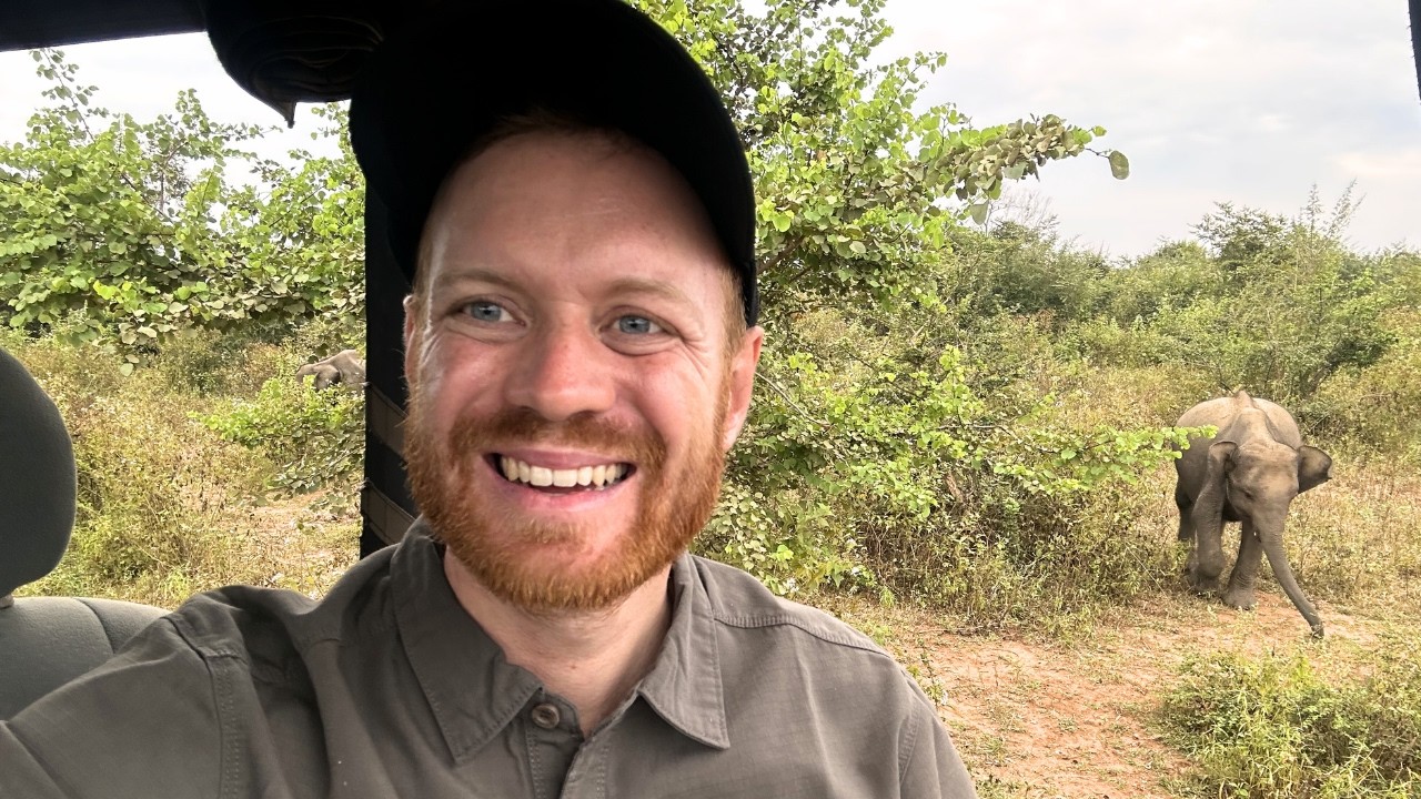 Wildlife Safari Stream Teil 2 - Live im Elefanten Paradies von Sri Lanka 🐘🇱🇰
