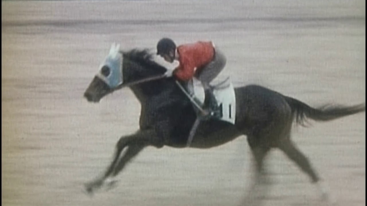 20世紀の名馬　83位　アカネテンリュウ