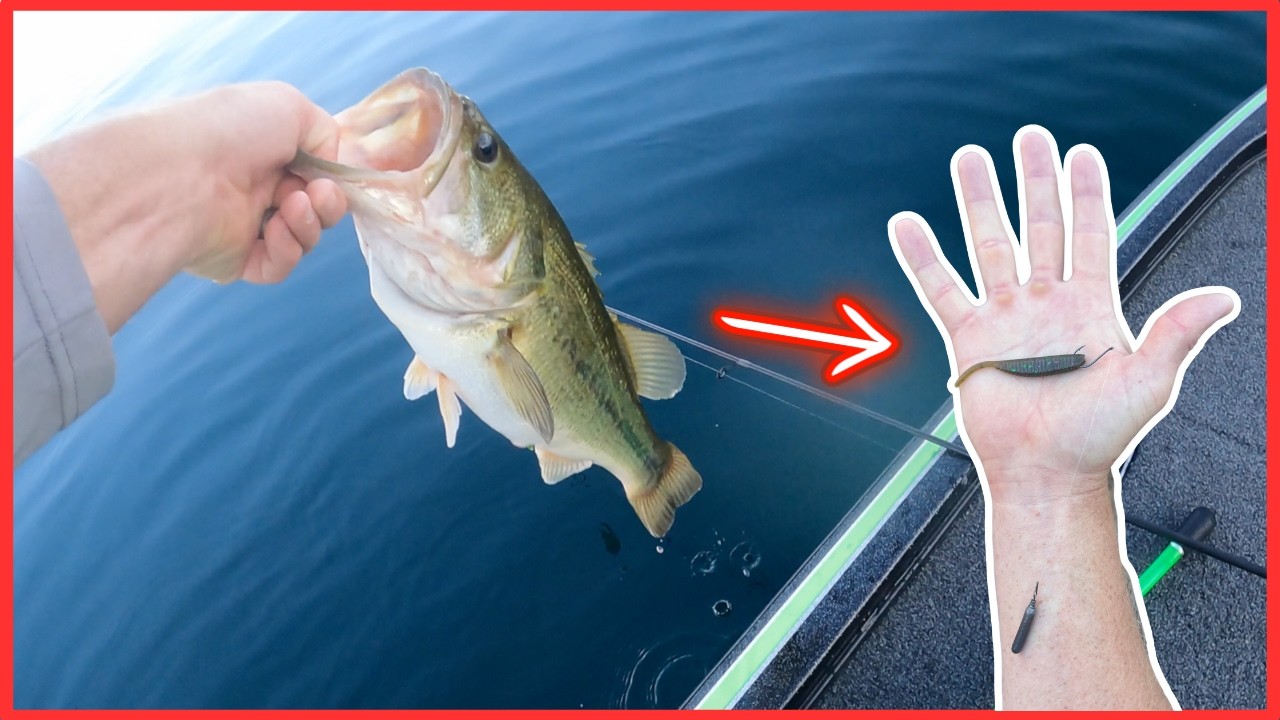 You’ll Never Fish A DROP SHOT RIG The Same After Seeing This