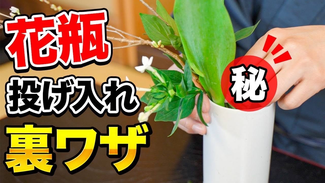 【解禁】花瓶の投げ入れが簡単になる内緒の裏ワザ！