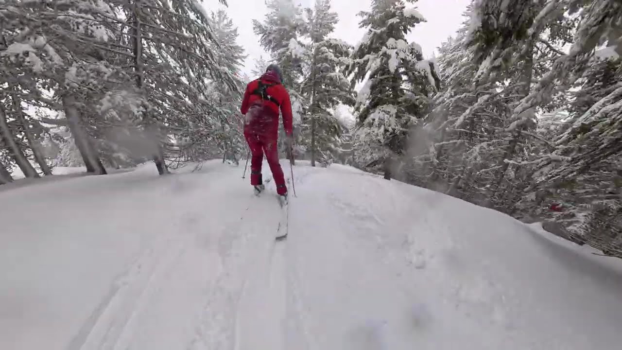 Bansko Feb 2026 powday in the forest
