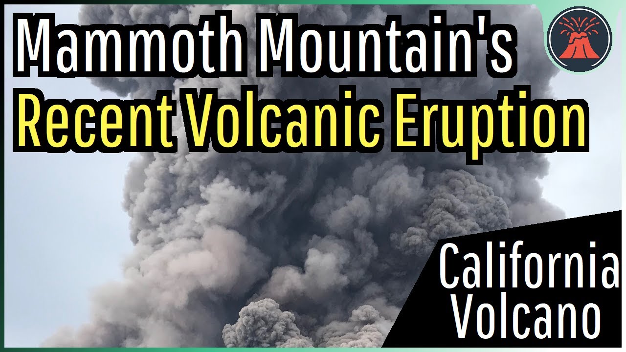 The Recent Volcanic Eruption at Mammoth Mountain in California