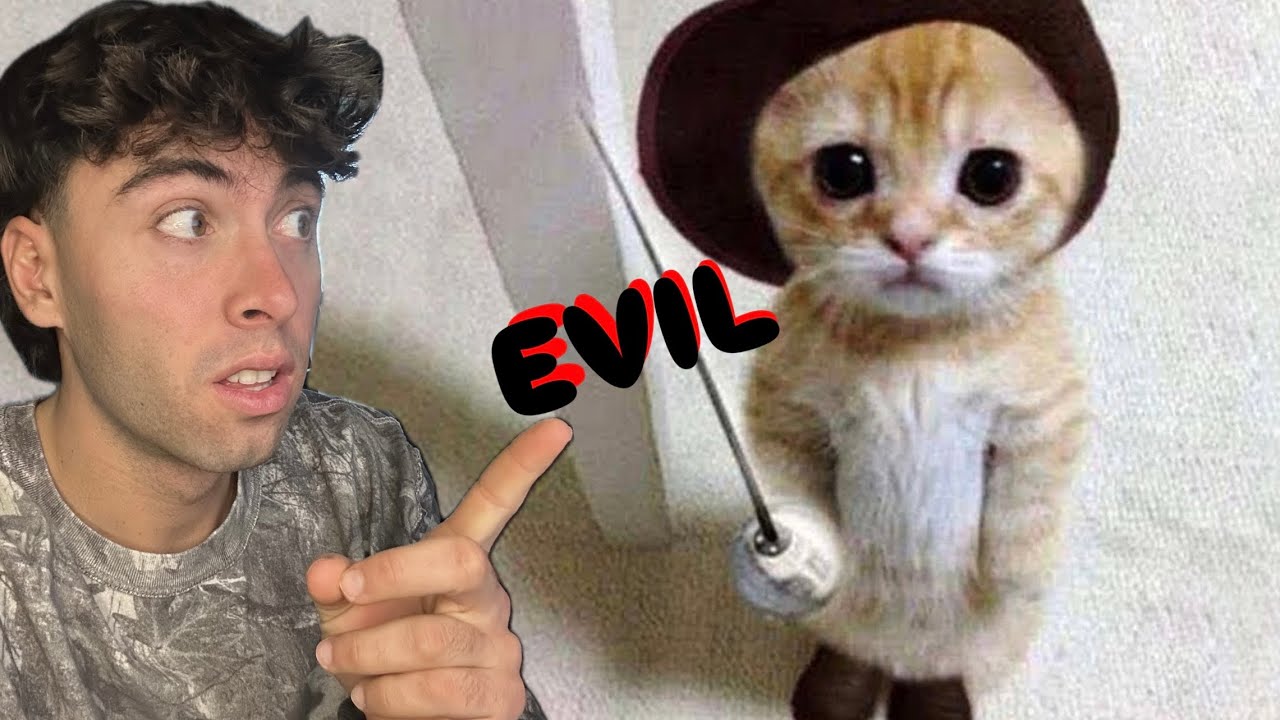 A CAT Makes me Question My Life in ELDEN RING