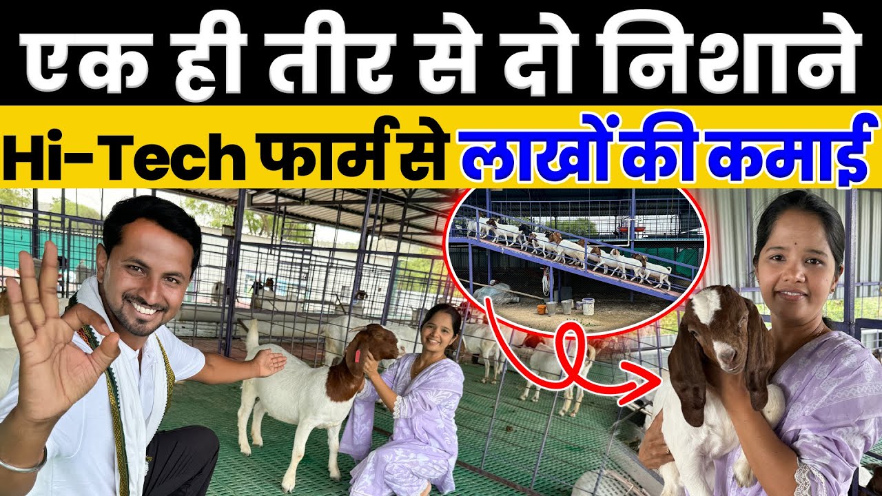 एक ही Farm में बकरी और मुर्गी😱💯खर्चा होगा कम Profit होगा Double🤑💰Indian Farmer