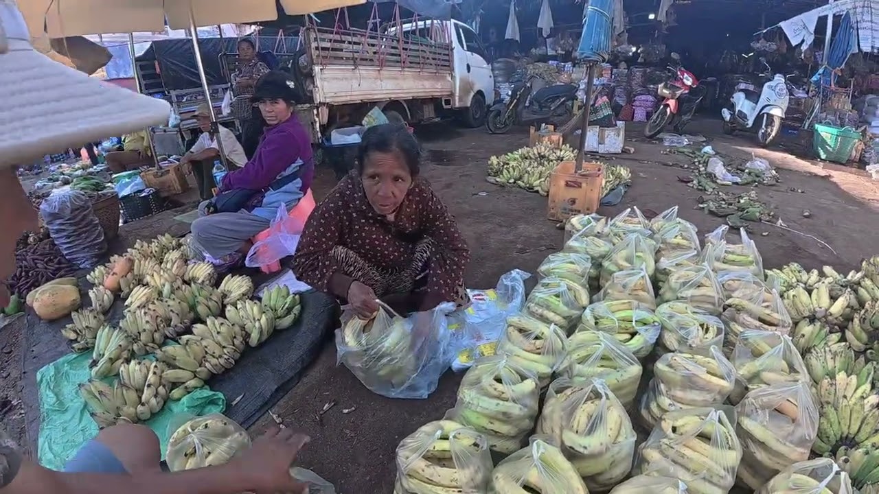 ເລາະຕະຫຼາດເຊົ້າຄຶກຄື້ນຫລາຍ (ຕະຫຼາດດາວເຮື່ອງພີ່ນອ້ງ)#วิถีลาว #travel #เที่ยวลาวไต้ 