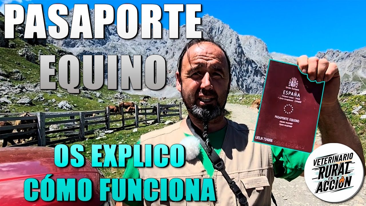 📕PASAPORTE🐴 Equino. Os explico cómo funciona
