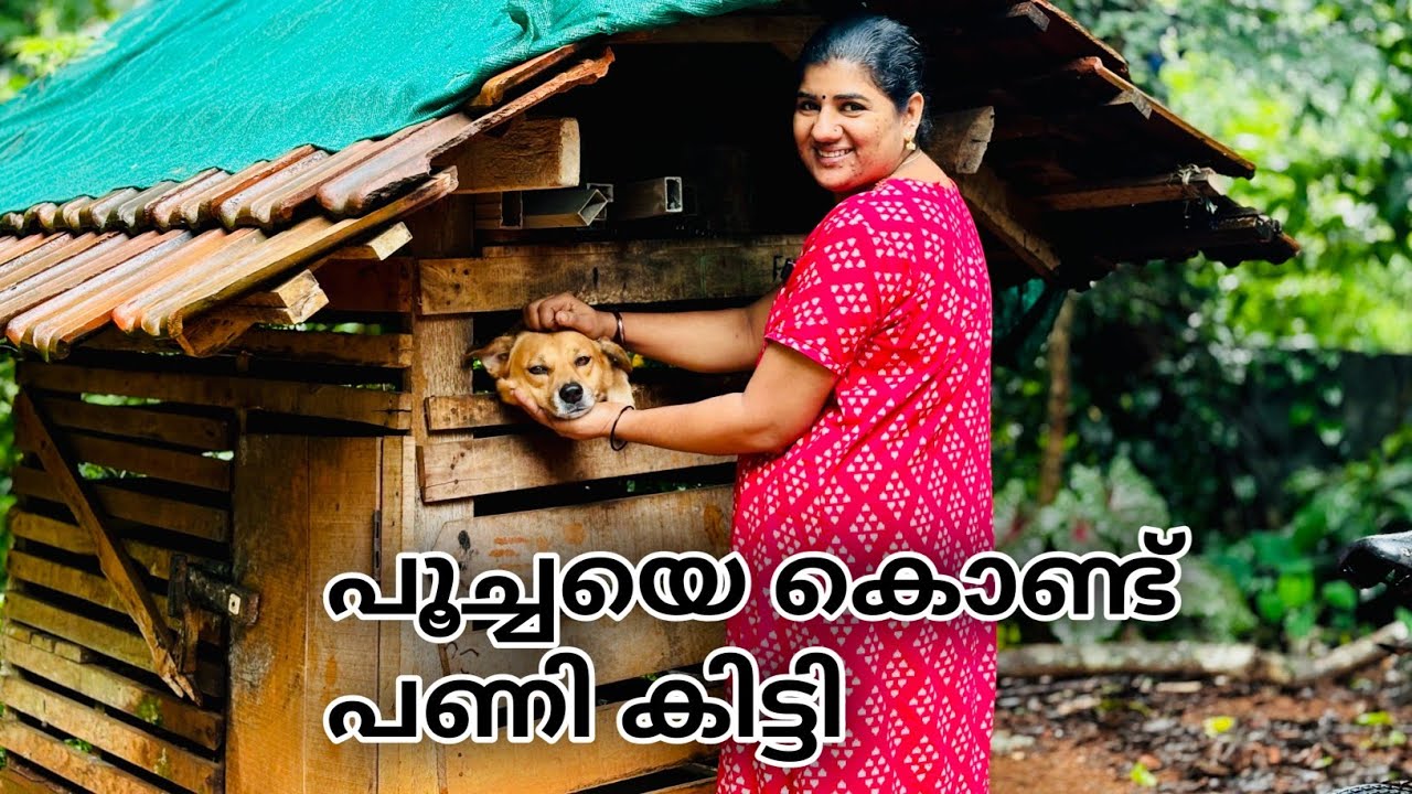 ഒരു മണിക്കൂർ കൊണ്ട് എന്ത് സംഭവിച്ചെന്നറിയില്ല 🤦 ചീത്ത വിളിയായി തെറി വിളിയായി 🙆😔🙏🙏